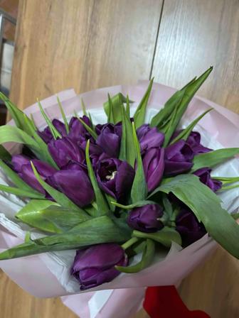 Продаю свежие тюльпаны