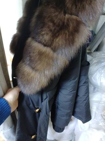 Пухабик махмара