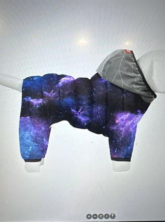 Комбинезон для собаки