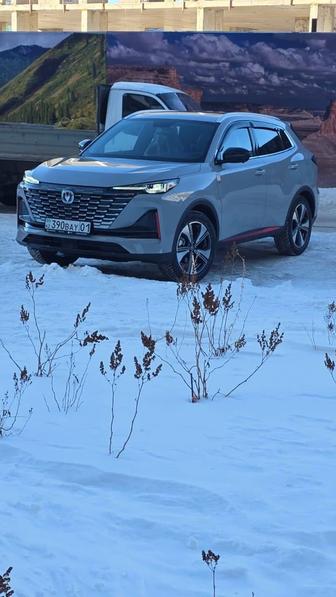 Аренда авто с водителем