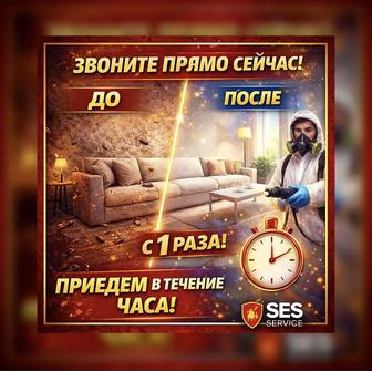 Дезинфекция от тараканов и клопов с гарантией 1 год