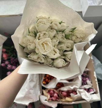 Тюльпан 450тг/шт