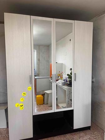 Продам шкаф высота 2.20 глубина 50 ширина 1.60