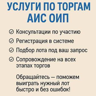 Услуги по работе на сайте АИС АИП