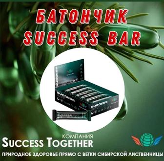 Клеточное питание Success Bar