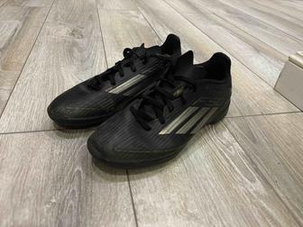 Сороконожки