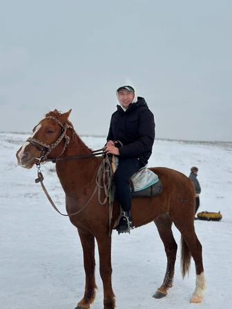 Срочно ищу работу в ночную смену оплата каждый день