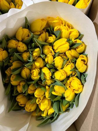 Тюльпаны к 8 марта