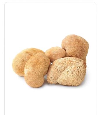 Ежовик гребенчатый и Рейши