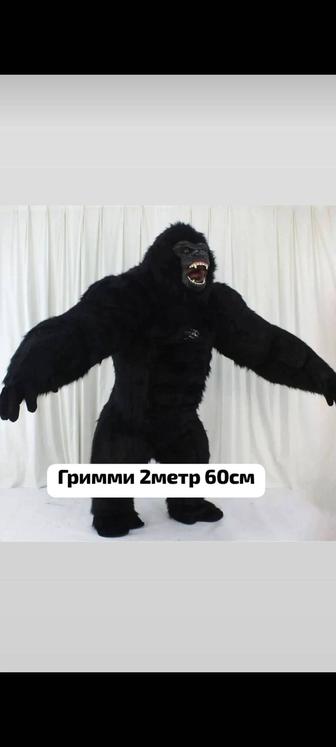 Аниматоры