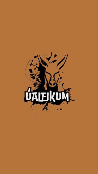 Ualeikum prod [Написание электронной музыки]