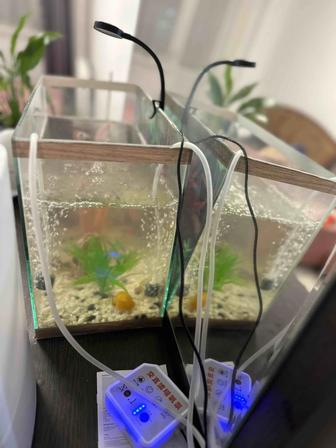 Продам аквариум