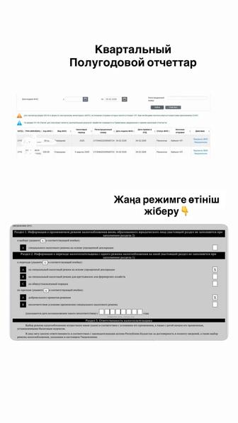 ИП, ТОО ашу, жабу, отчет