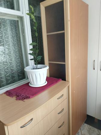 Продам шкаф пенал и комод