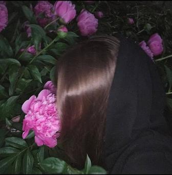 Web-дизайнер
