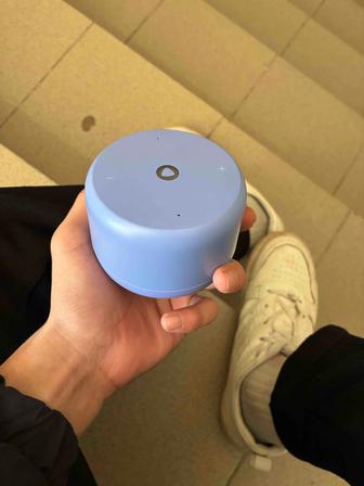 Алиса станция лайт 2