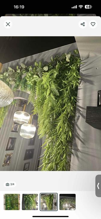 Продам декоративную зелень с элементами мха