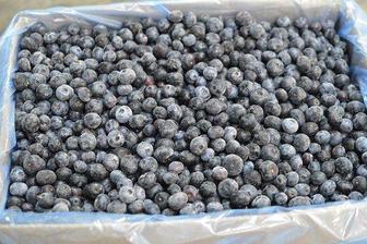 Продам свежую замороженную иргу