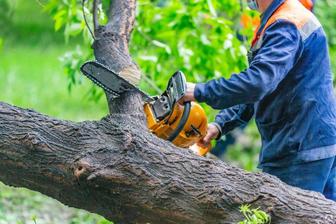 Спил Деревьев,подрезка