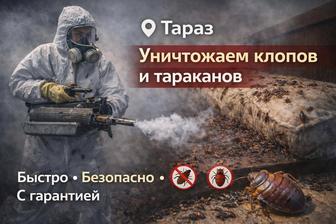 Дезинфекция Клоп и тараканов и тд