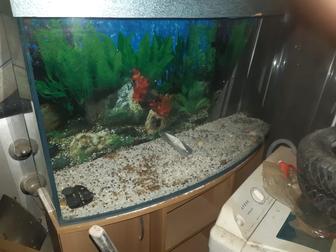 Аквариум 100 литра