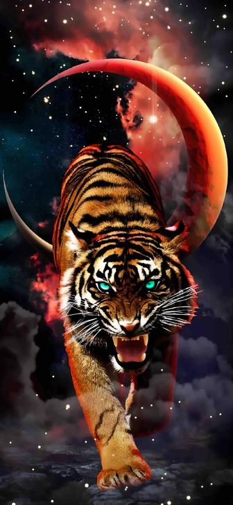 Разработка бренда