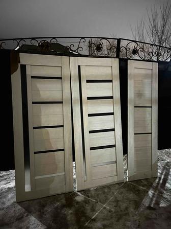 Новое дверное полотно