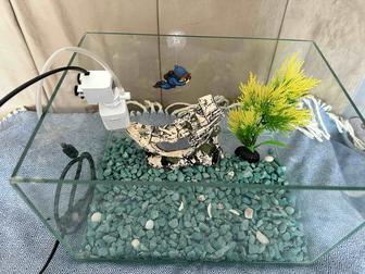 Продам аквариум