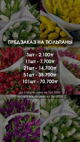 Предзаказ на тюльпаны