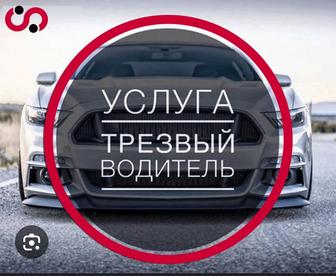 Трезвый водитель