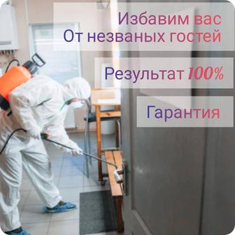 Дезинфекция дезинсекция дератизация