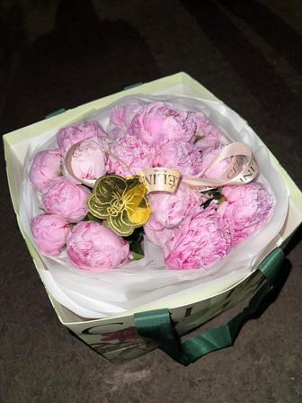 Свежие цветы пионы