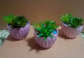 Искусственные сакуленты