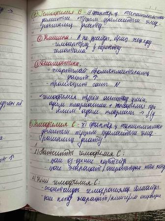 Пишу конспекты