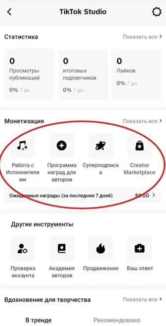 TikTok монетизация