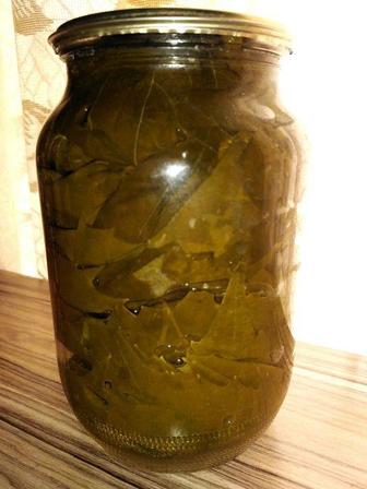 Продам маринованные виноградные листья на долму