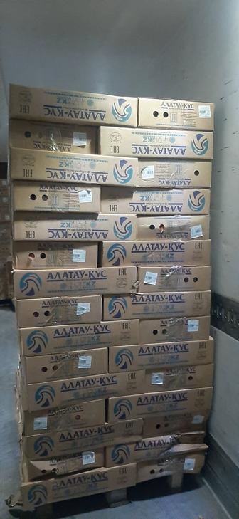 КУРИЦА замороженная Цыпленок Бройлера в коробках Алатау-Кус