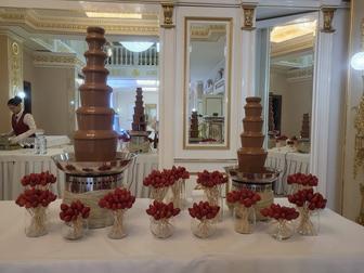 Шоколадный Фонтан и Фруктовая пальма