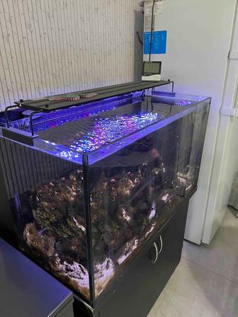 Продам аквариум морской