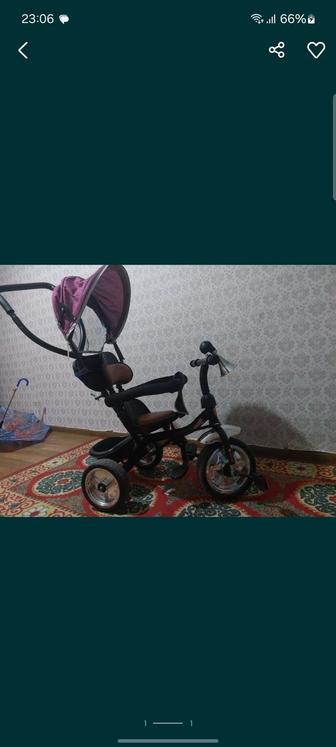 Калаяска