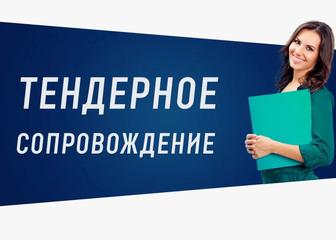 Участие, сопровождение тендеров