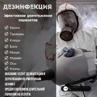 Дезинсекция Уничтожение клопов и тараканов