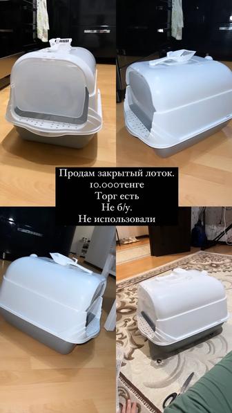 Закрытый лоток