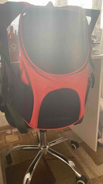 Рюкзак для животных