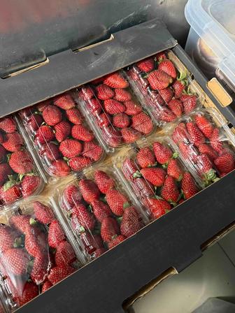 Свежая клубника из египта