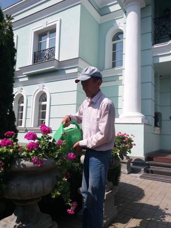 Уход за комнатными растениями