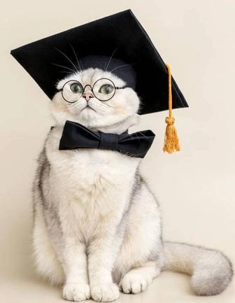 Репетитор по физике