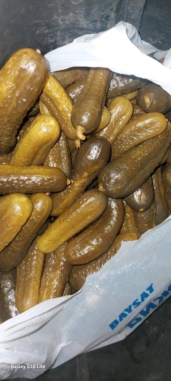 Бочкавые помидоры и огурцы