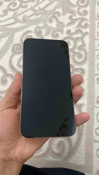 Iphone 13 Pro Max - 256GB