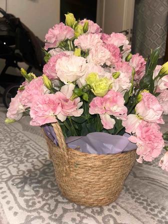 Продам цветы